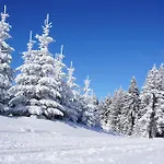 Tannenblick 8-1