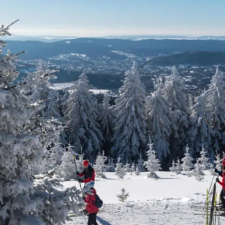 Tannenblick 8-1 Апартаменты Оберхоф