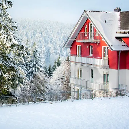 Апартаменты Tannenblick 8-1 Оберхоф