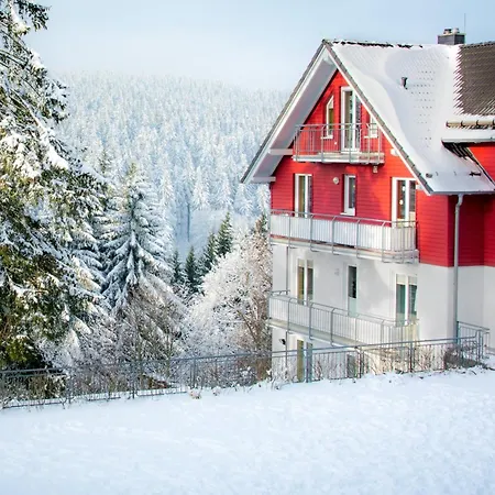 Appartement Tannenblick 8-1