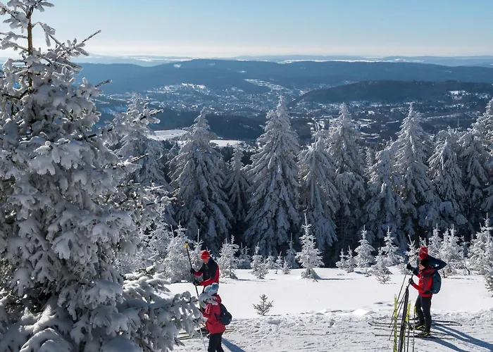 Tannenblick 8-1 Апартаменты Оберхоф