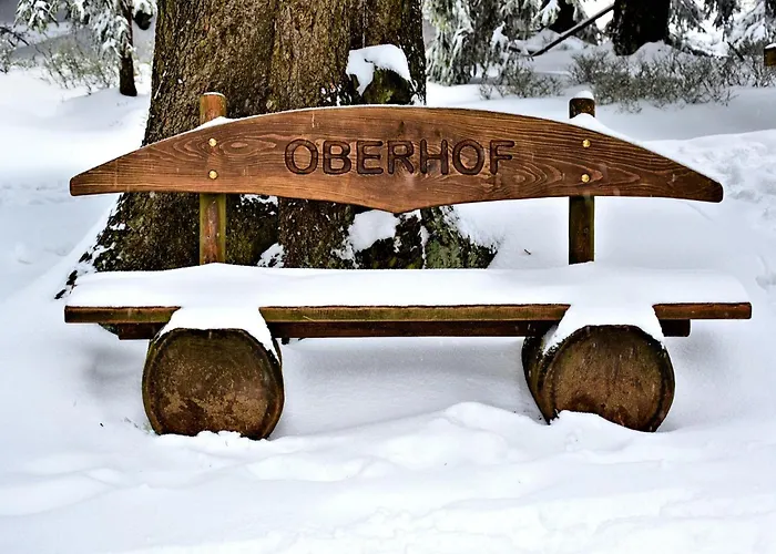 Tannenblick 8-1 Appartement *