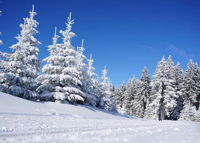 Tannenblick 8-1 Апартаменты *